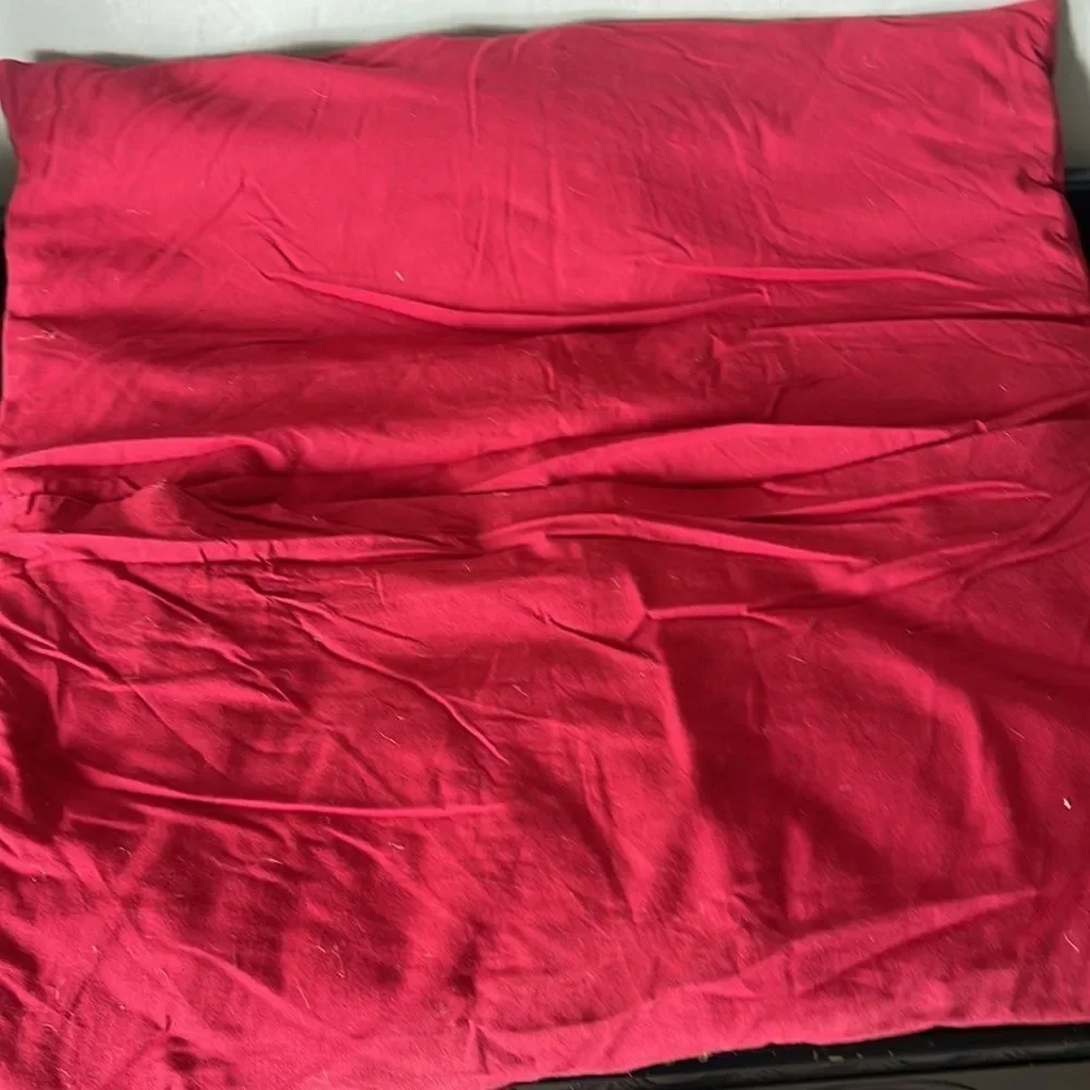 Pottery Barn Red Euro Sham